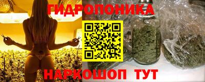 дурь Лесосибирск