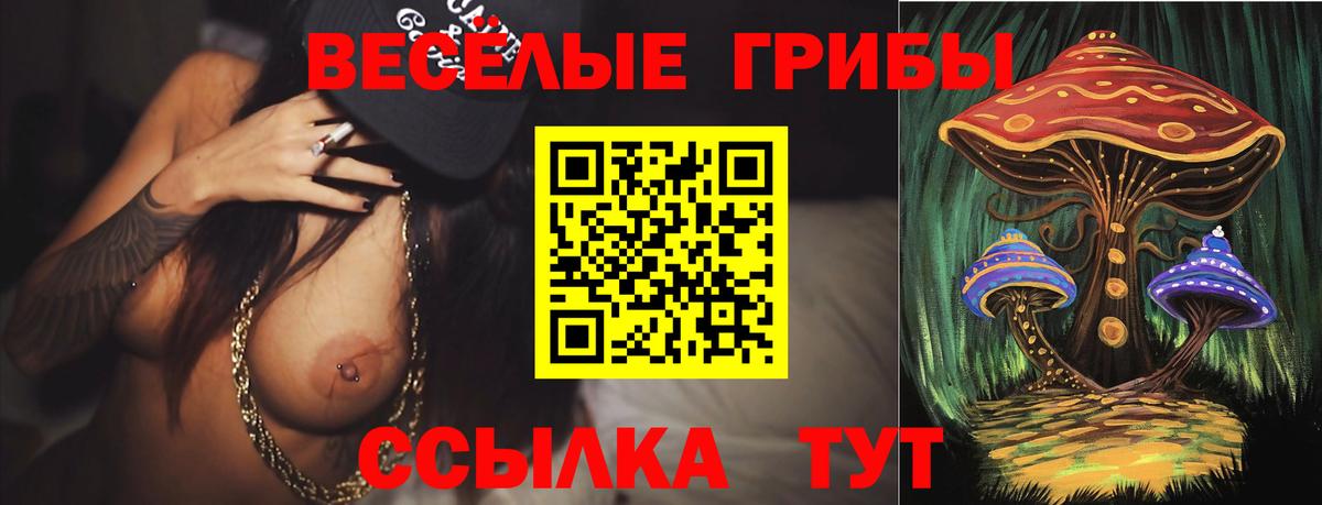 Будённовск  Галлюциногенные грибы мухоморы  Вход с VPN 